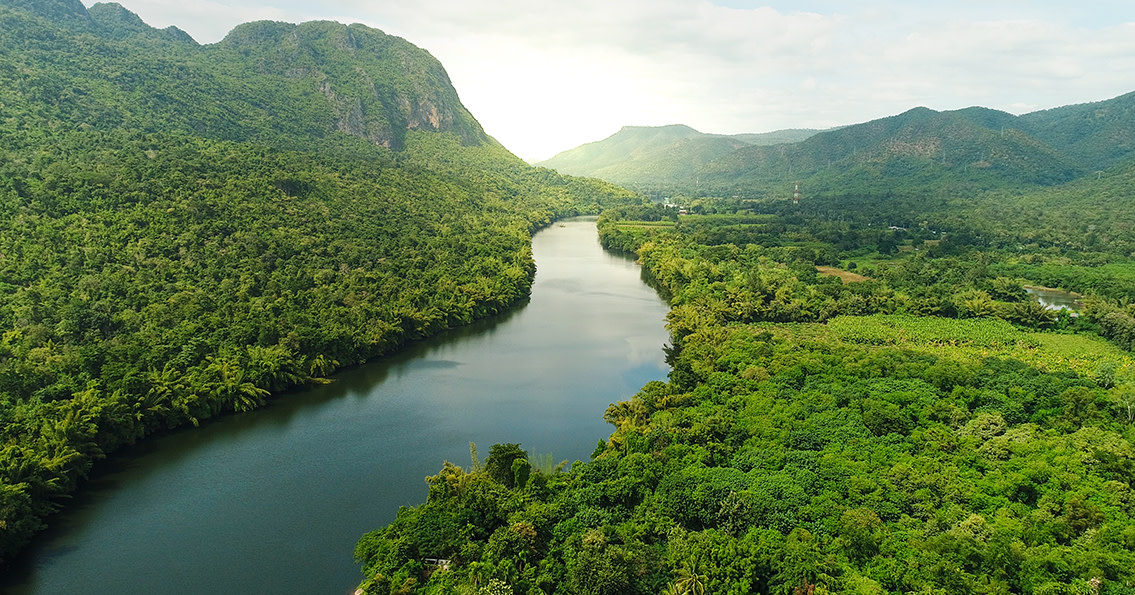 Amazonas regnskog