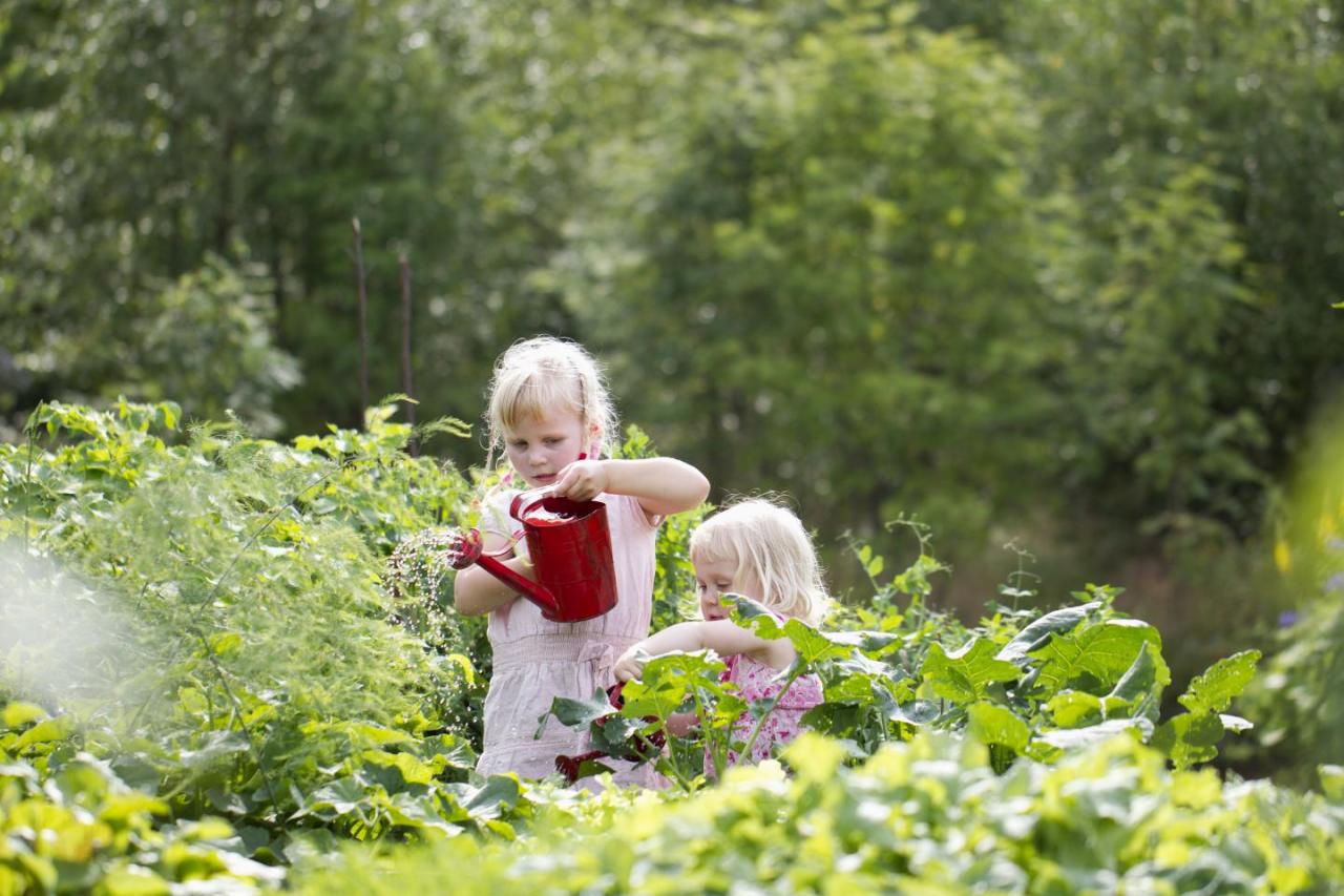 Två flickor i fält som bevattnar växter